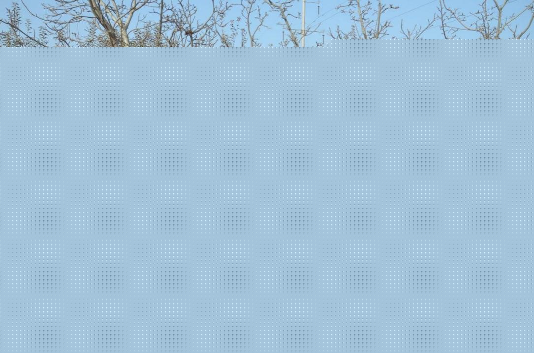 为民办实事│乡村振兴促发展 援疆助农拓销路